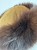 IMG_1942.JPEG