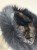 IMG_1973.JPEG